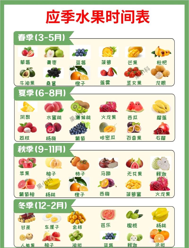 蔬菜种植基地:如何打造高效绿色生产模式